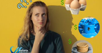 costo de productos 2023: huevo, gas y tortillas