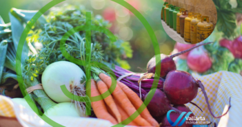 precio de la canasta basica