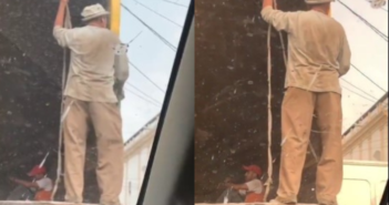 recolector de basura perreando