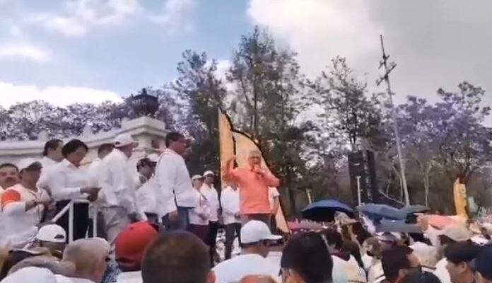 snte nayarit contra ley navarro