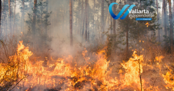 ¿Qué se puede hacer para prevenir los incendios forestales?