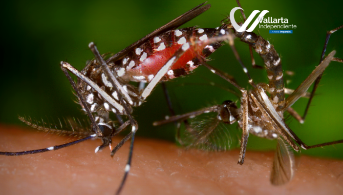 ¿Dónde se da el dengue en México?