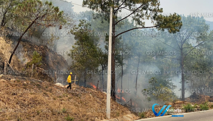 incendios forestales en puerto vallarta