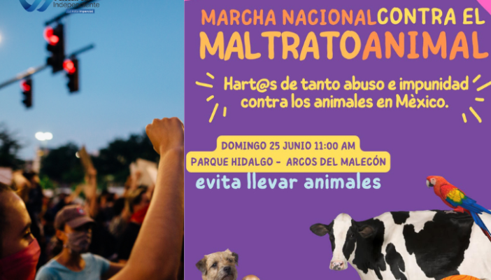 marcha nacional contra el maltrato animal en puerto vallarta