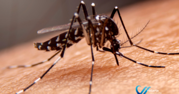 ¿Cuáles son las formas de controlar la malaria?