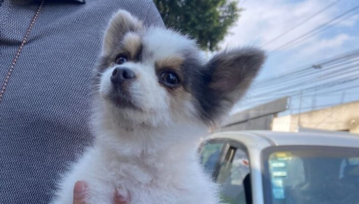 noticias de tlaquepaque