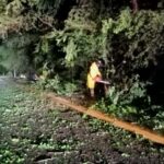 Tormenta del 31 de julio provocó derrumbe de postes, cables y árboles 4 Tormenta del 31 de julio provocó derrumbe de postes, cables y árboles