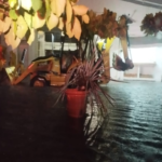 Tormenta en Puerto Vallarta dejó 9 viviendas afectadas