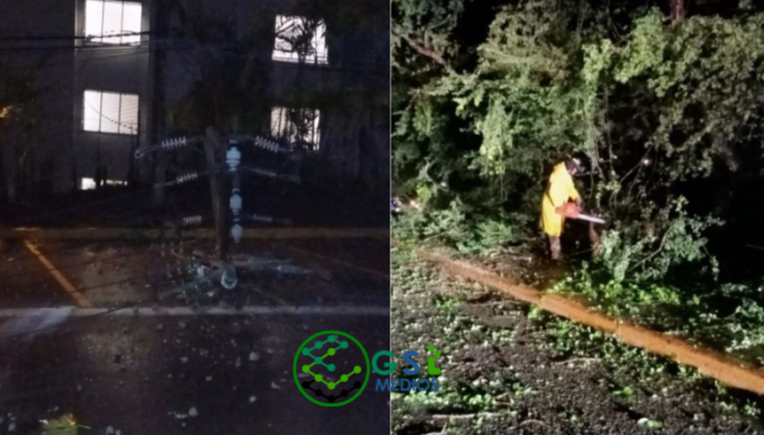 Tormenta del 31 de julio provocó derrumbe de postes, cables y árboles