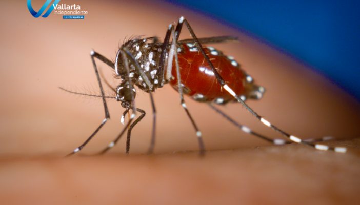 formas de prevenir el dengue