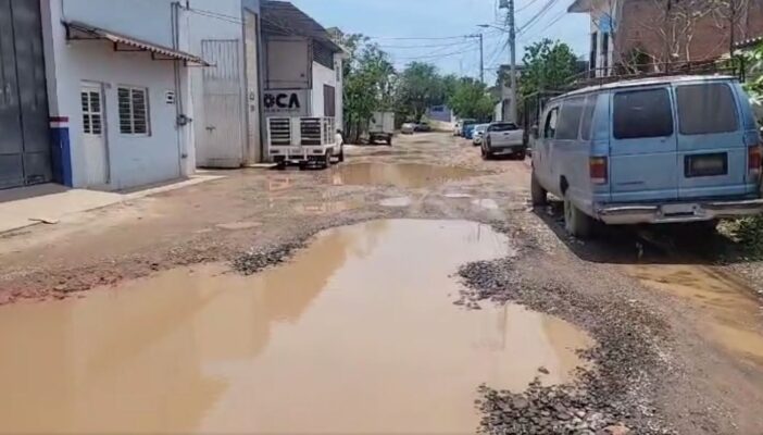 la floresta puerto vallarta