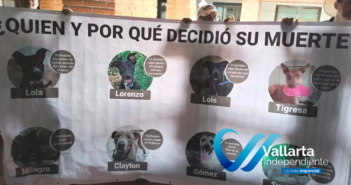 Manifestantes piden alto a la "matanza" en Centro de Control Animal de Vallarta