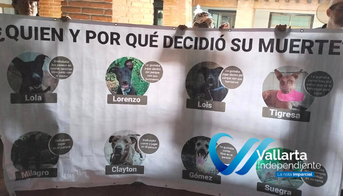 Manifestantes piden alto a la "matanza" en Centro de Control Animal de Vallarta