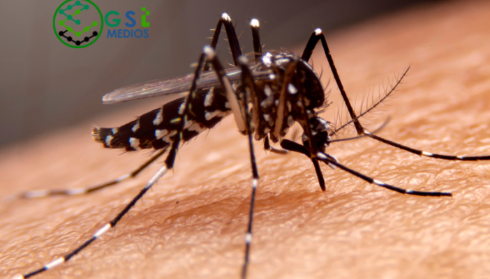 jornada nacional de lucha contra las arbovirosis