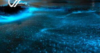 playas bioluminiscentes en méxico