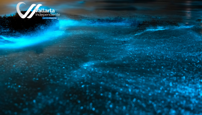 playas bioluminiscentes en méxico