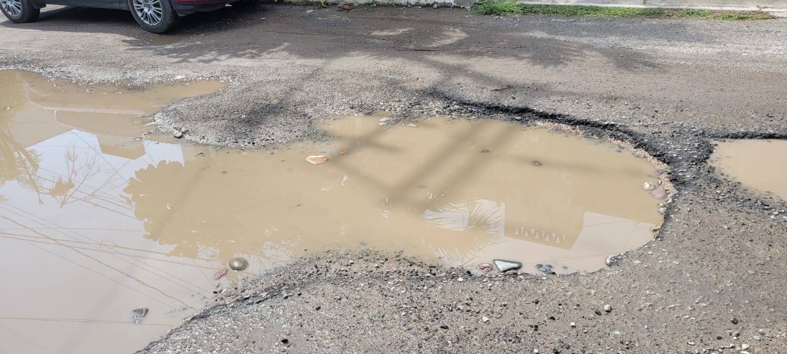 baches en puerto vallarta
