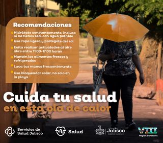 recomendaciones ante olas de calor
