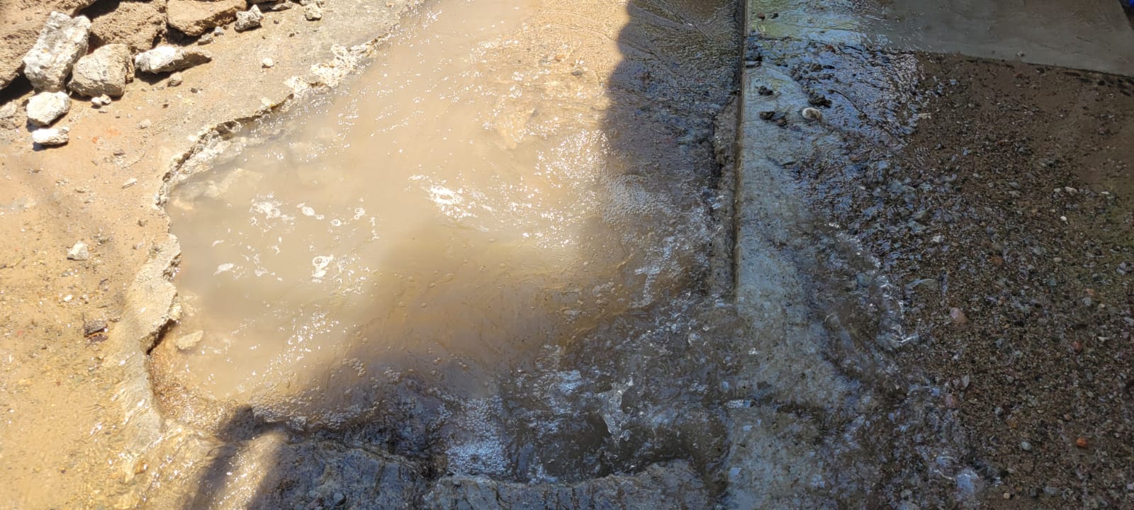 (FOTOS Y VIDEO) ¿Y SEAPAL? Habitantes de Bosques del progreso se quejan de enorme fuga de agua en la calle Mimosa
