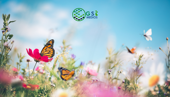 semana de las Mariposas en Puerto Vallarta