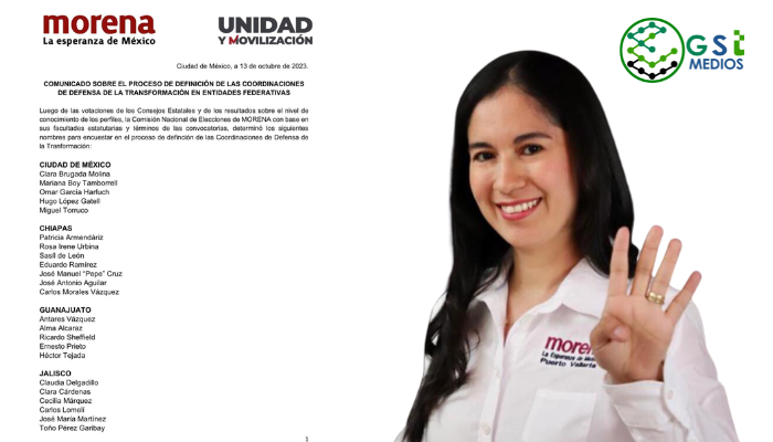 Flor Michel queda fuera de la contienda interna de Morena