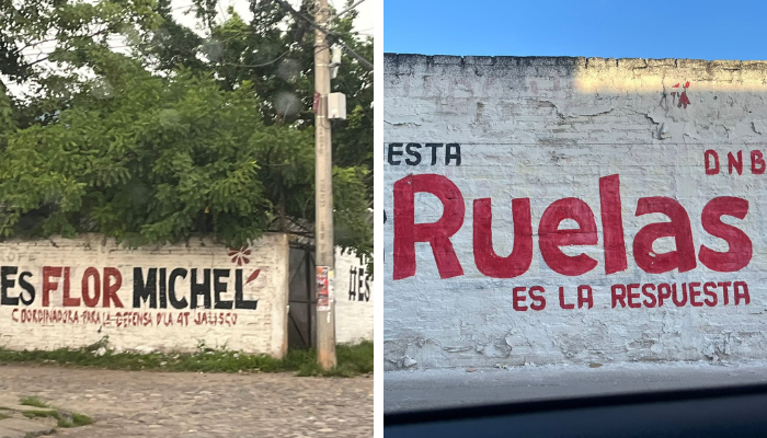 Propaganda política: síntoma de las precampañas