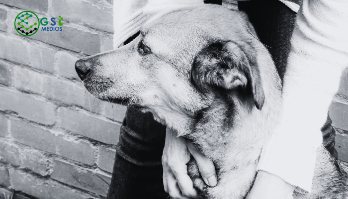 muerte por asfixia de un perro en Zapopan