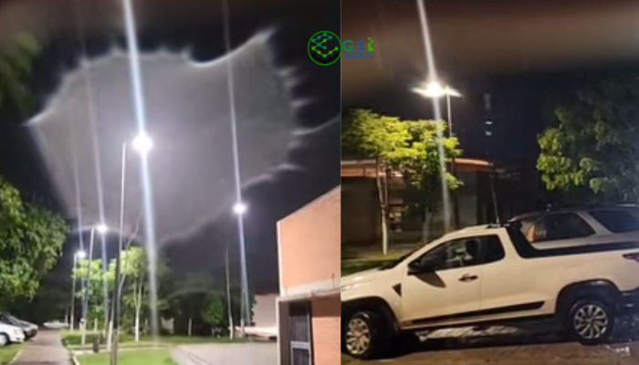 problemas en puerto vallarta