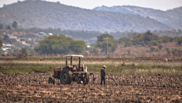 Colectivos internacionales se reúnen con campesinos del Sur de Jalisco
