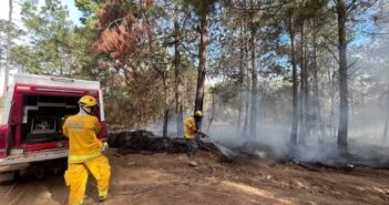 Jalisco registra peor estiaje en incendios forestales en una década