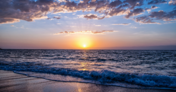 6 playas de México no son aptas para uso recreativo: Cofepris