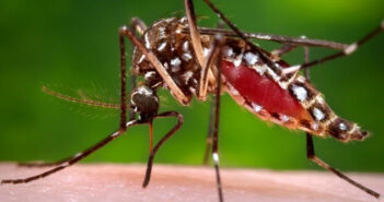 Puerto Vallarta registra un caso de dengue con signos de alarma