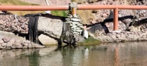 La contaminación del Río Cuale