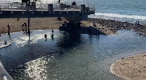 El malecón de Puerto Vallarta, de lo bello al olvido 6 El malecón de Puerto Vallarta, de lo bello al olvido