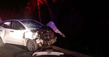 Vehículo choca contra una vaca en la carretera 544