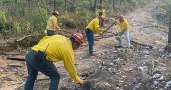 Refuerzan acciones contra incendios forestales en Jalisco