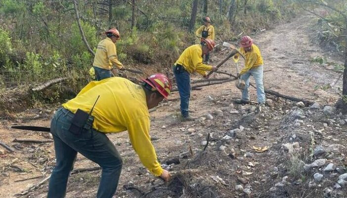 Refuerzan acciones contra incendios forestales en Jalisco