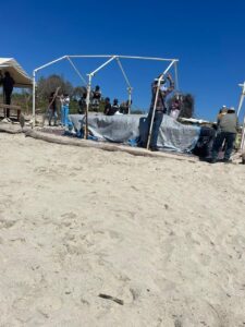 Retiran a masajistas en playa Flamingos