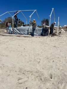 Retiran a masajistas en playa Flamingos 2 Retiran a masajistas en playa Flamingos