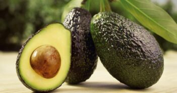 Jalisco aumenta exportación de aguacate hacia Estados Unidos por Super Bowl