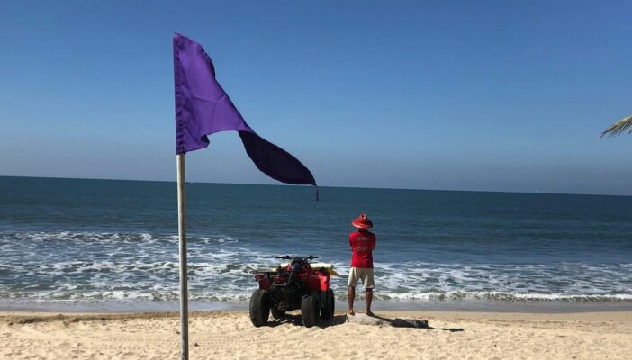 Bandera morada en playas de Bahía de Banderas