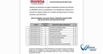 diputaciones locales