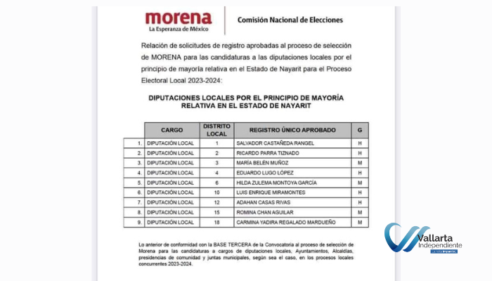 diputaciones locales