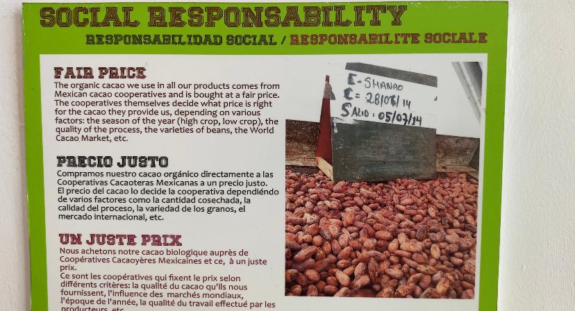 Choco Museo, una manera gustosa de aprender sobre chocolate 1 Choco Museo