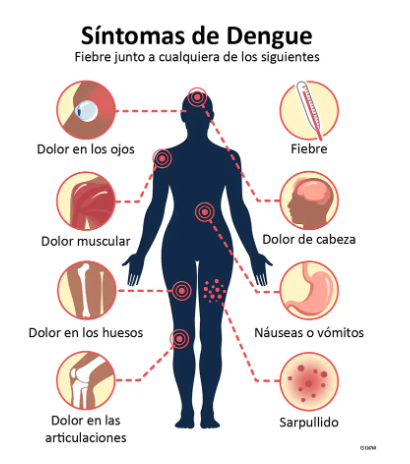 Puerto Vallarta registra casos de dengue; hay 54 confirmados 1 dengue