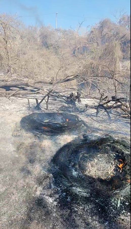 Se registra incendio en Vista Vallarta: Bomberos luchan por controlarlo 1 Se registra incendio en Vista Vallarta: Bomberos luchan por controlarlo