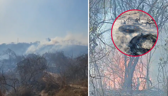 Se registra incendio en Vista Vallarta: Bomberos luchan por controlarlo