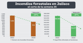 Disminuyen en Jalisco los incendios forestales