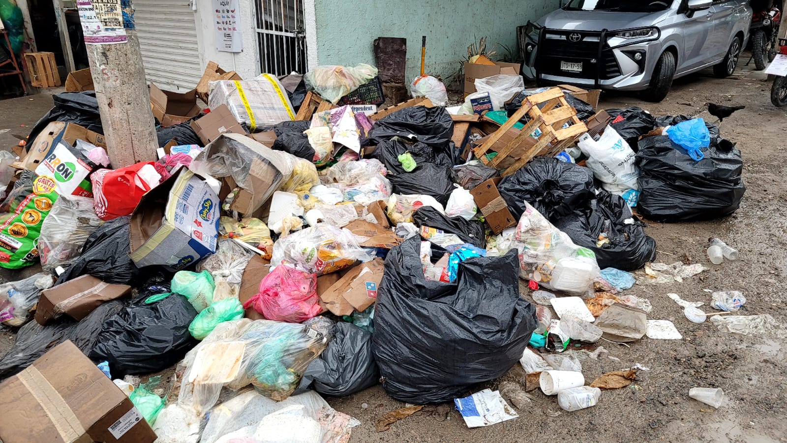Preocupa a vallartenses la falta de recolección de basura en varias colonias