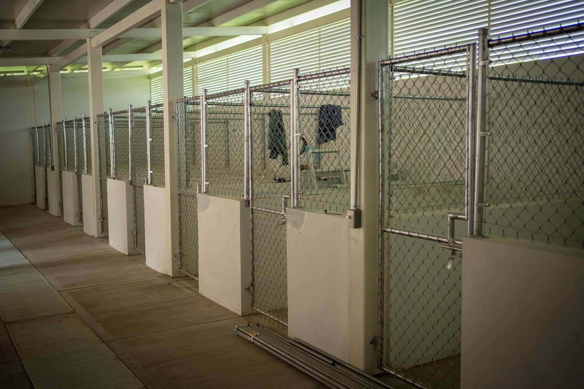 Ultiman detalles para Centro de Bienestar Animal de Tepic